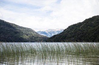 Route des 7 lacs - Bariloche